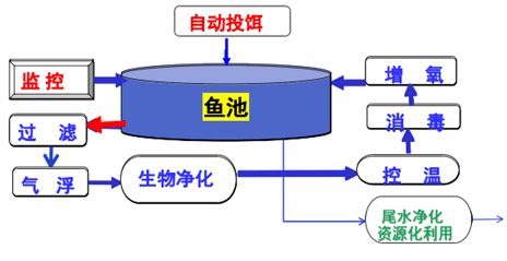 加快工厂化循环水养殖装备技术创新 助推水产养殖绿色高效发展